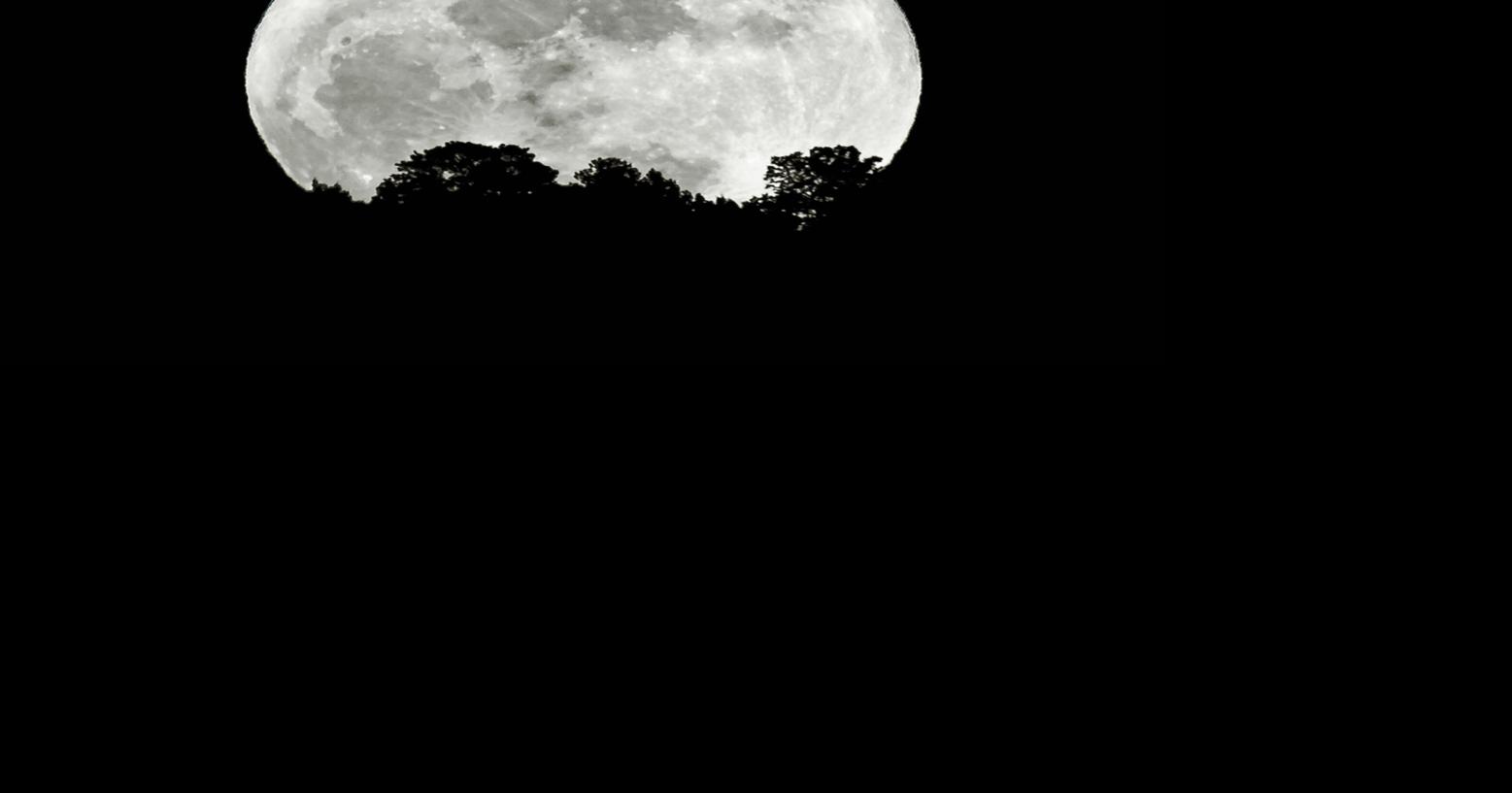 Full moon rising | Local News | wmicentral.com