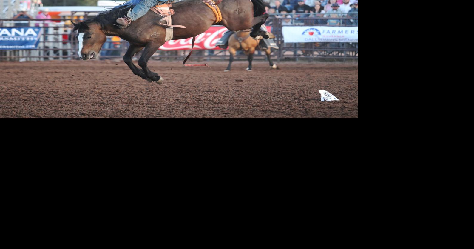 Celebrate old west traditions at rodeo this weekend | | wmicentral.com