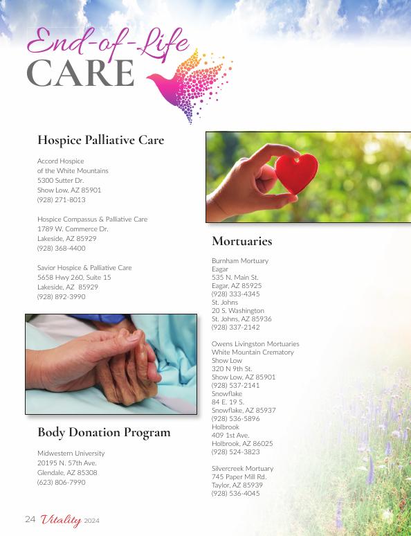 Page V 24