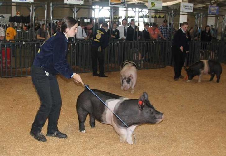 Marion County Fair seeks volunteers Calendar