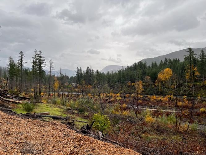 Volunteers needed to help restore Santiam Canyon parks Calendar