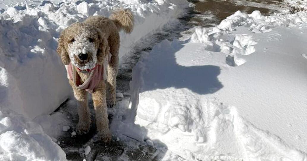 Snowy weekend across Woodward and Northwest Oklahoma