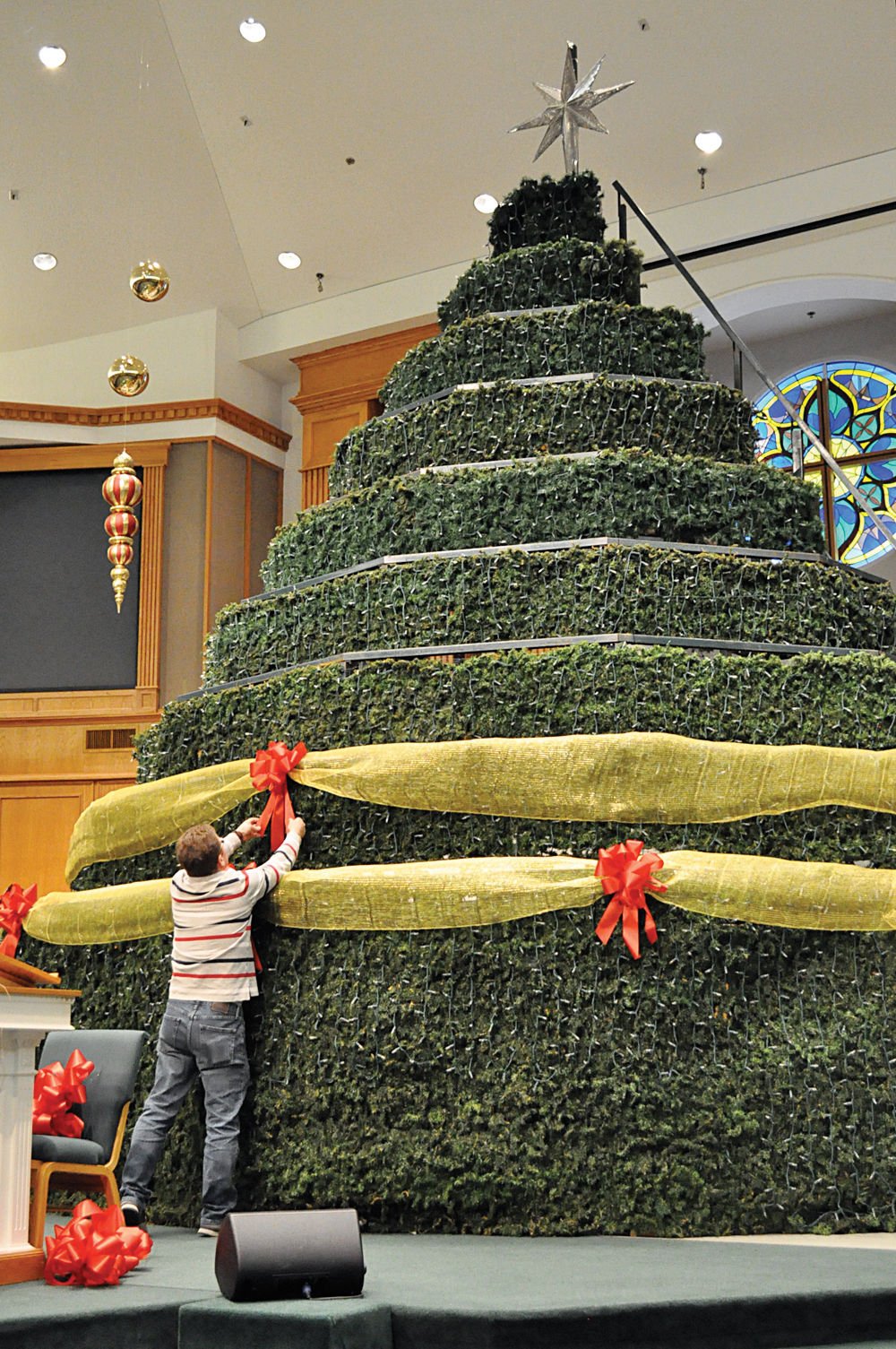 church setting up special living christmas tree church setting up special living christmas tree