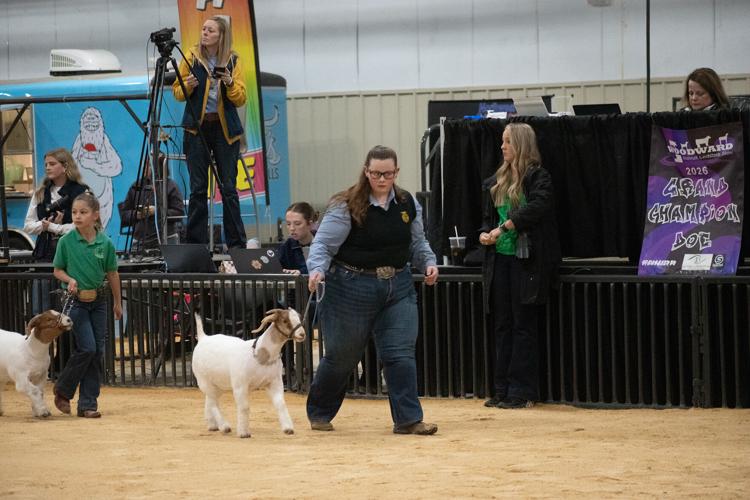 Scenes from the 92nd Annual Woodward District livestock Show | Photos ...