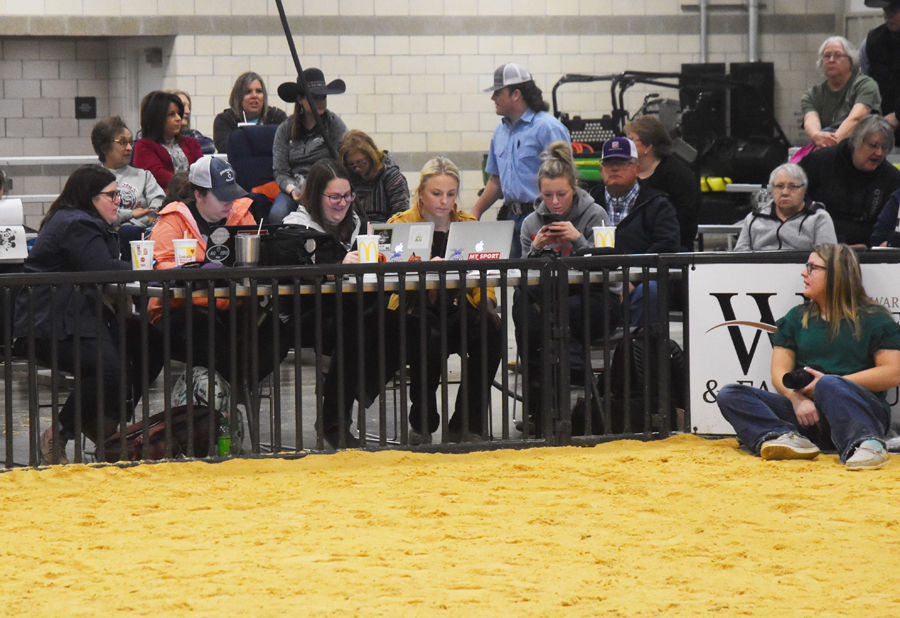 Woodward District Livestock Show Multimedia