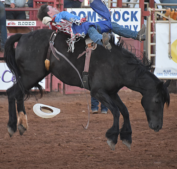 Woodward Elks Rodeo Results Local News