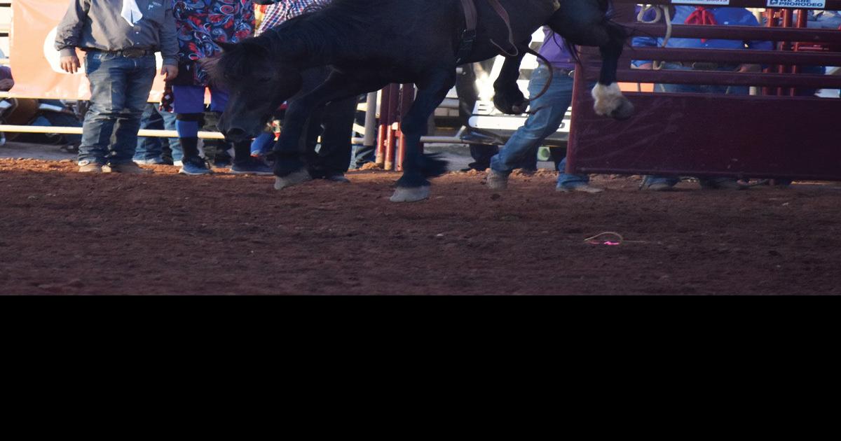 Woodward Elks Rodeo Results News