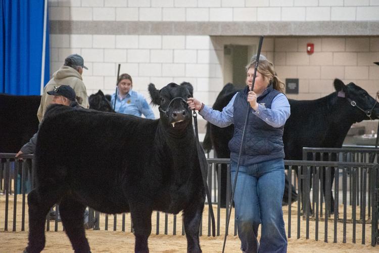 Scenes from the 92nd Annual Woodward District livestock Show | Photos ...