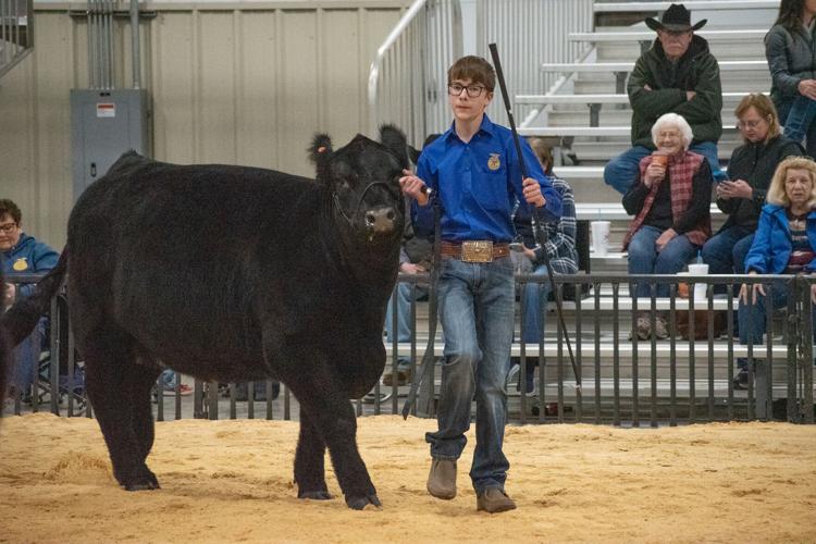 Scenes from the 92nd Annual Woodward District livestock Show | Photos ...