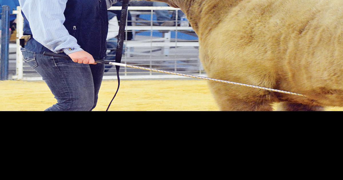 Woodward County Livestock Show set Monday News