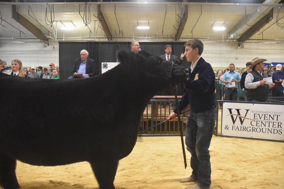 Woodward District Livestock Show Premium dinner and auction Community