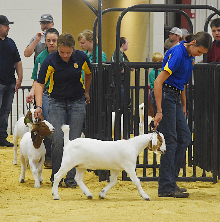 Woodward County Fair Livestock Show Results Community