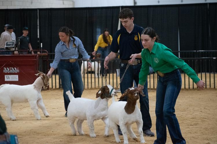 Scenes from the 92nd Annual Woodward District livestock Show | Photos ...