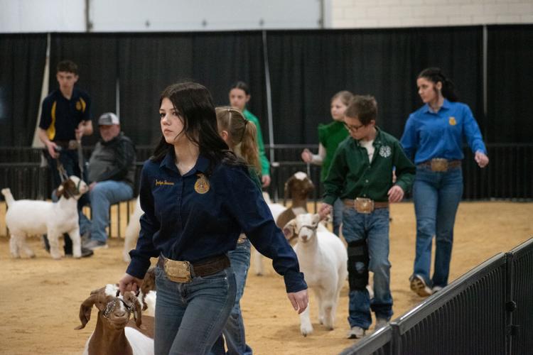Scenes from the 92nd Annual Woodward District livestock Show | Photos ...
