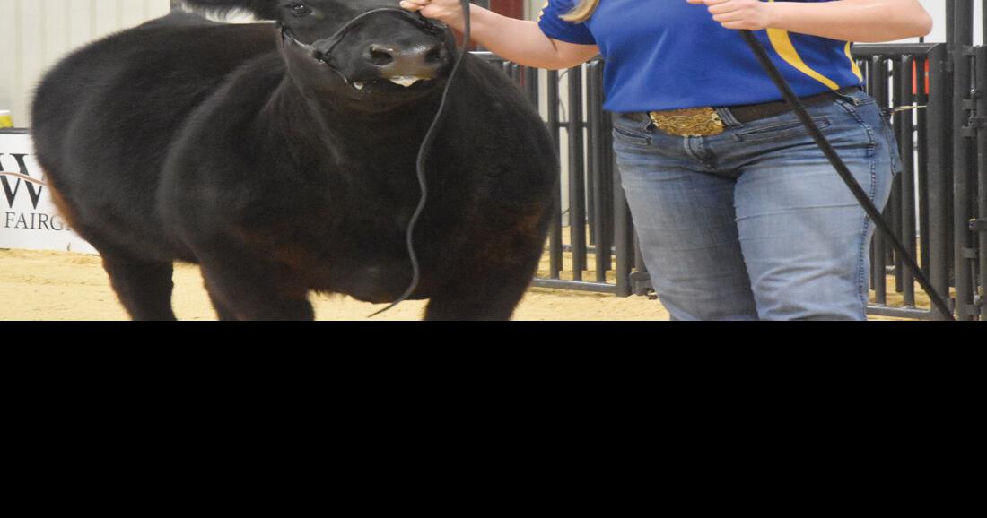 Woodward County Livestock Show results News