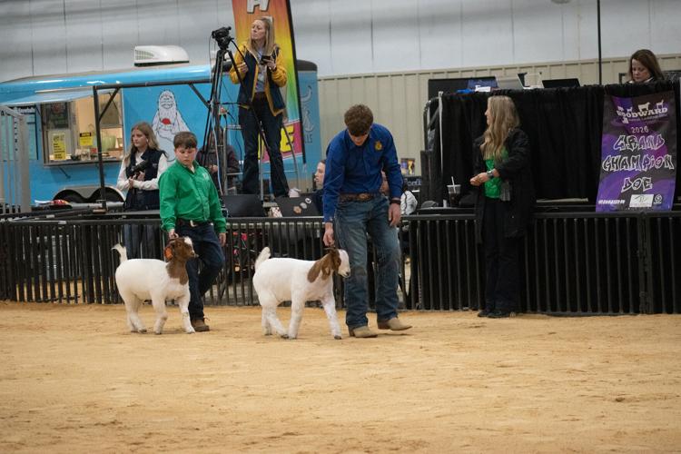 Scenes from the 92nd Annual Woodward District livestock Show | Photos ...