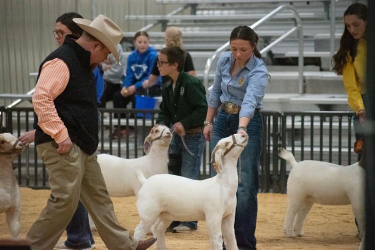 Scenes from the 92nd Annual Woodward District livestock Show | Photos ...