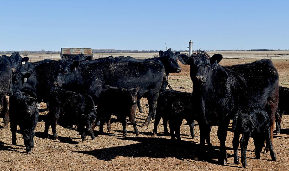 Pollard Farms has operation down to a science Don't Miss This