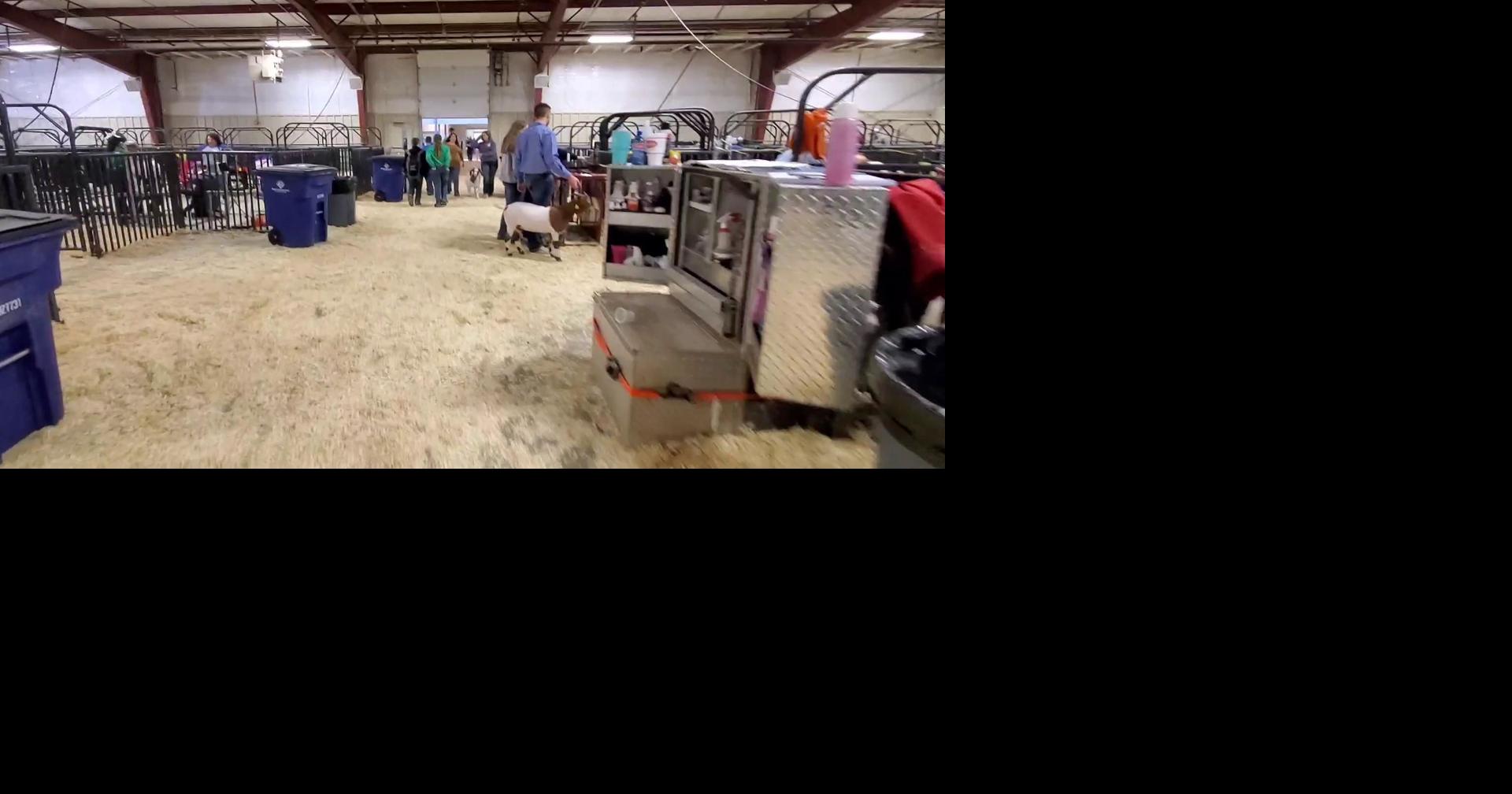 Woodward District Livestock Show Multimedia