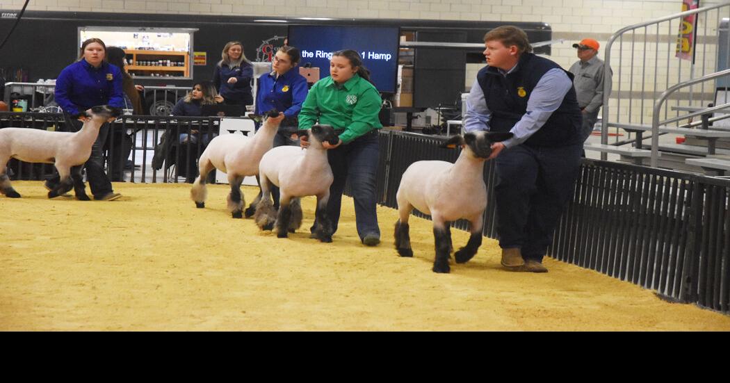 Woodward District Livestock Show results News