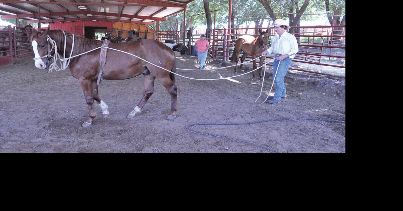 Famed Cudd Quarter Horse Sale coming up July 18 in Woodward News