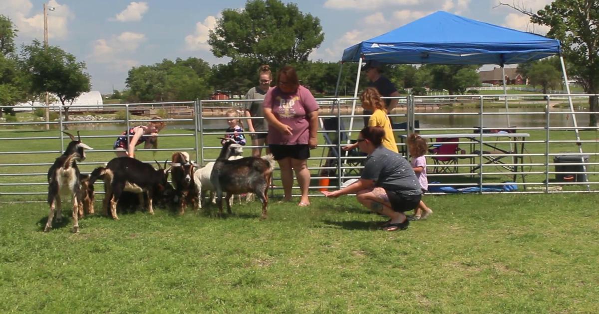 Goat Roping | Multimedia | woodwardnews.net