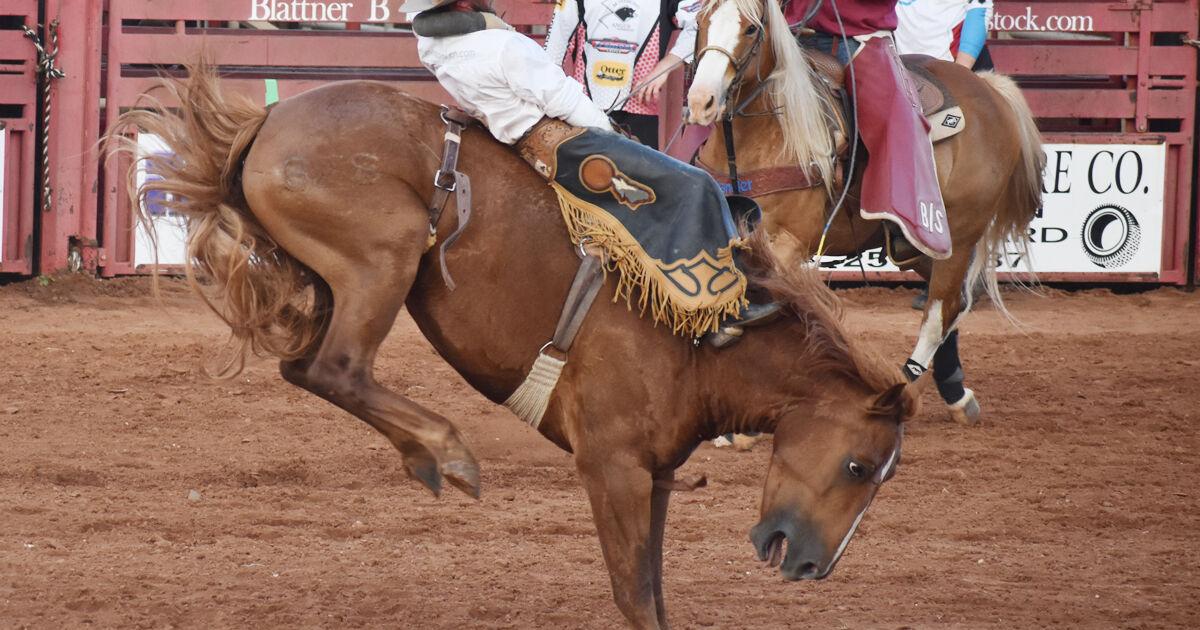 Big rides top second night of Elks Rodeo | Local News | woodwardnews.net