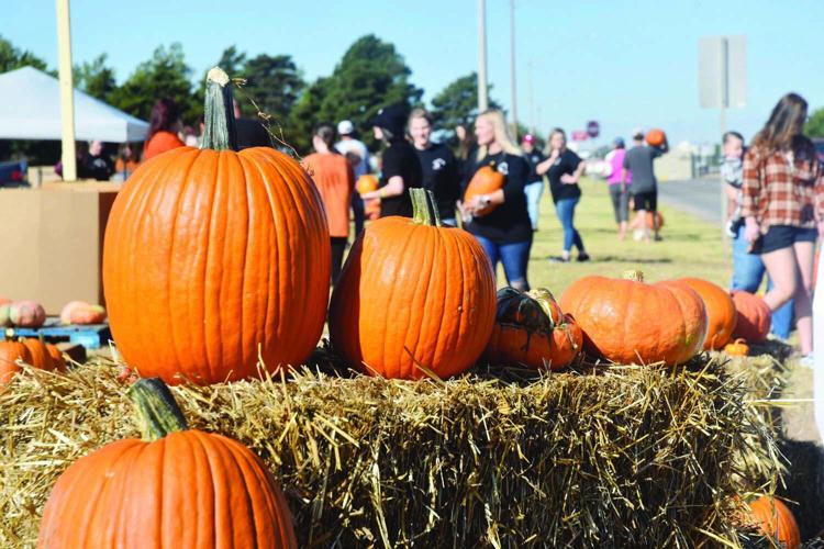 Pick a pumpkin, make an impact | Local News | woodwardnews.net