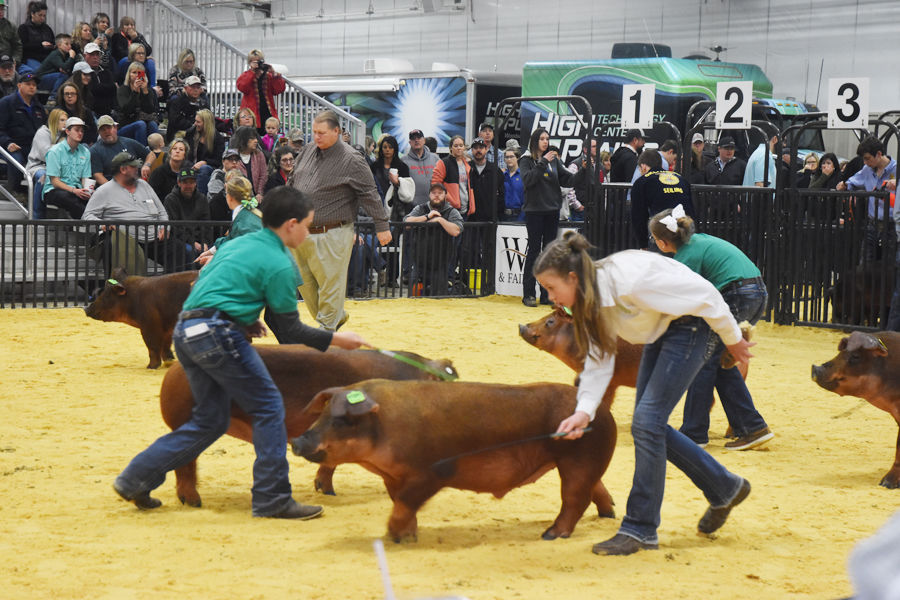 Woodward District Livestock Show Multimedia