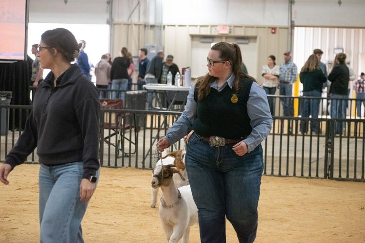 Scenes from the 92nd Annual Woodward District livestock Show | Photos ...
