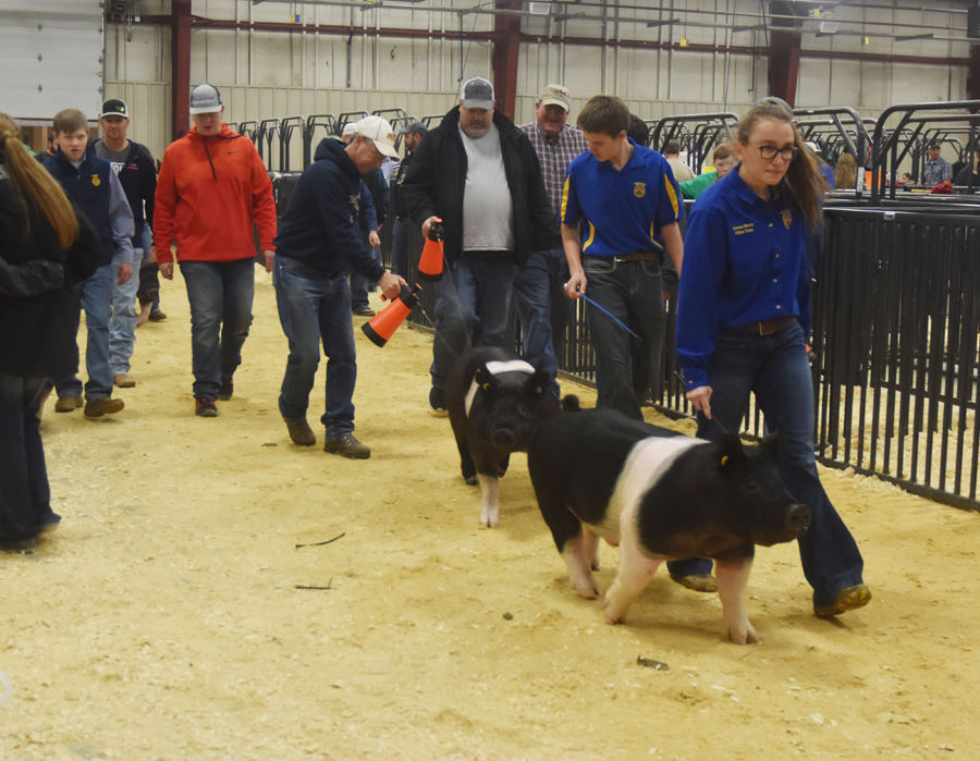 Woodward District Livestock Show Multimedia