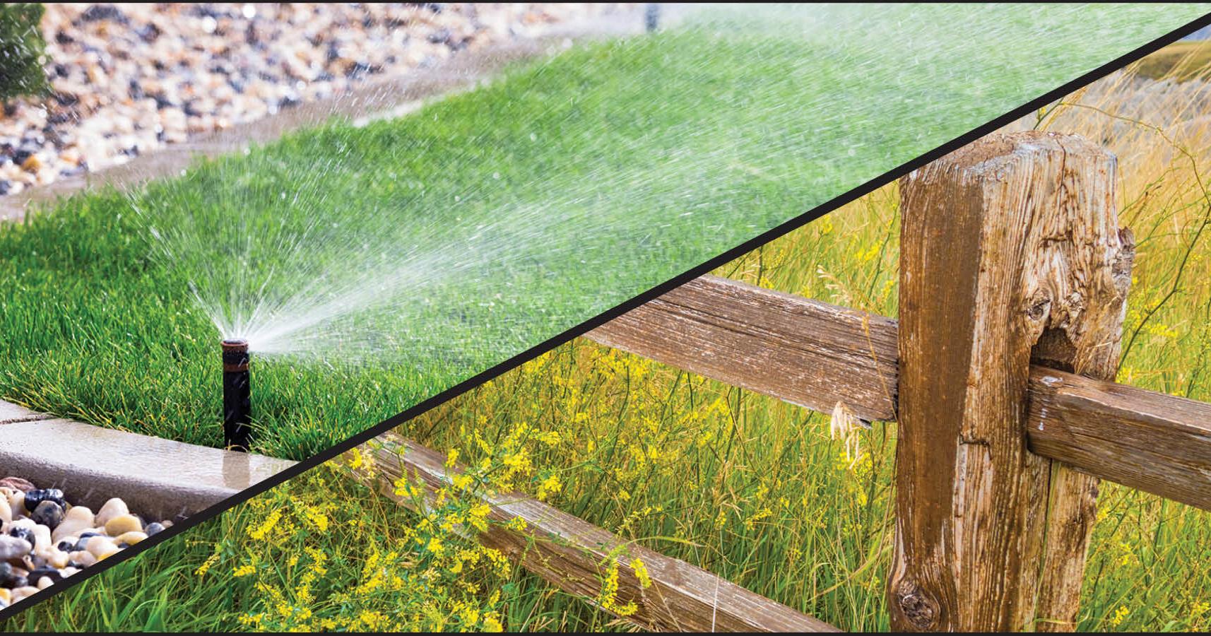 Should Grass Be King? - Vimarsana News