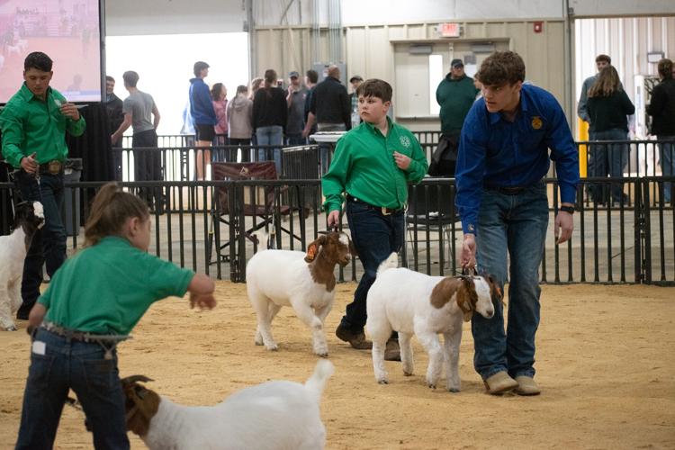 Scenes from the 92nd Annual Woodward District livestock Show | Photos ...