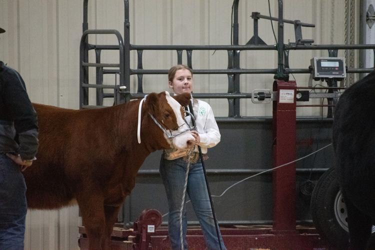 Scenes from the 92nd Annual Woodward District livestock Show | Photos ...