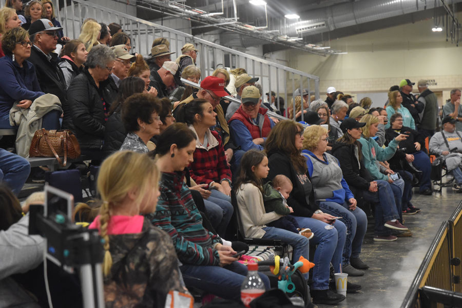 Woodward District Livestock Show Multimedia