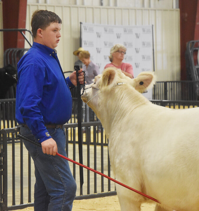 Woodward County Fair Livestock Show Results Community