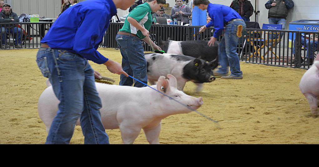 Woodward County Livestock Show Results News