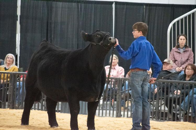 Scenes from the 92nd Annual Woodward District livestock Show | Photos ...