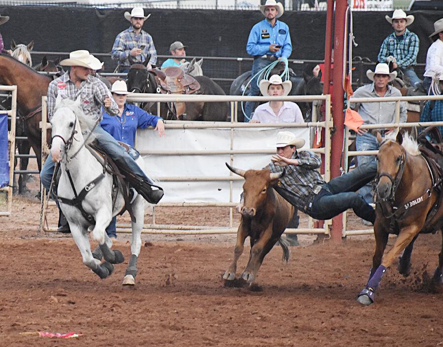 Final results from the 91st Woodward Elks Rodeo Local News