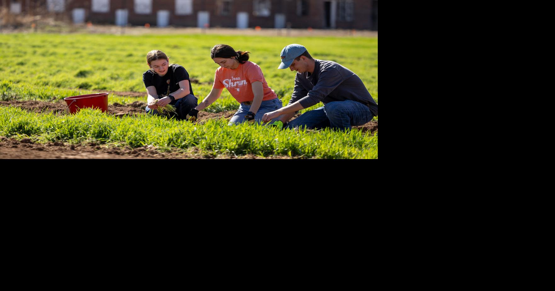 OSU Student Farm doubles acreage to serve food banks | | woodwardnews.net