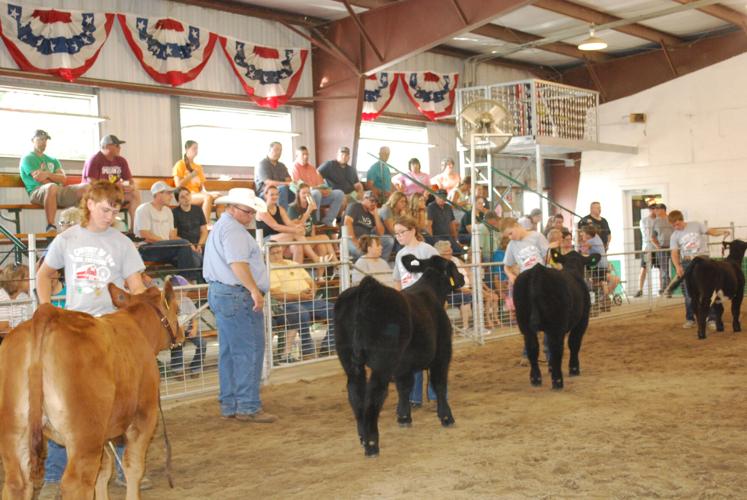 100th Cuming County Fair fun for all Gallery