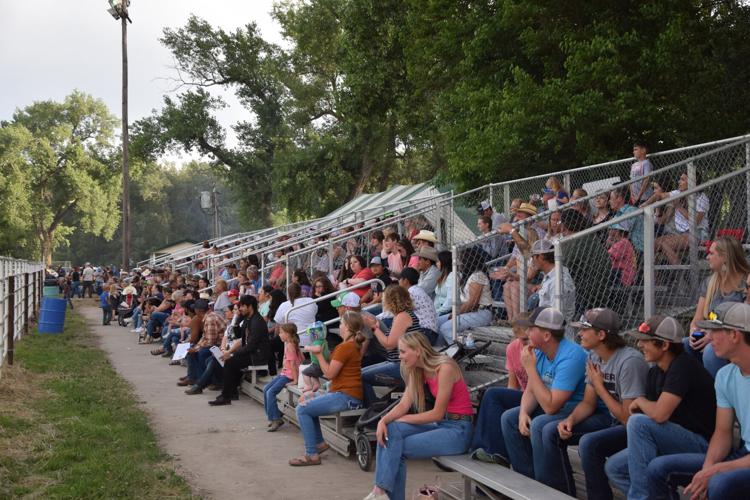 2022 Wisner Livestock Show competition honorees Gallery