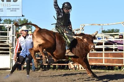 Bull riding