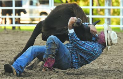 Livestock show and Lions Club rodeo take over River Park next week ...