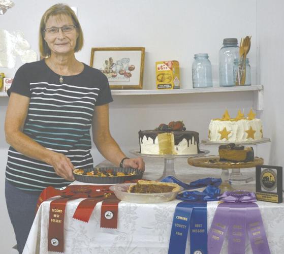 100th Cuming County Fair Fine Arts award winners, honorees Gallery