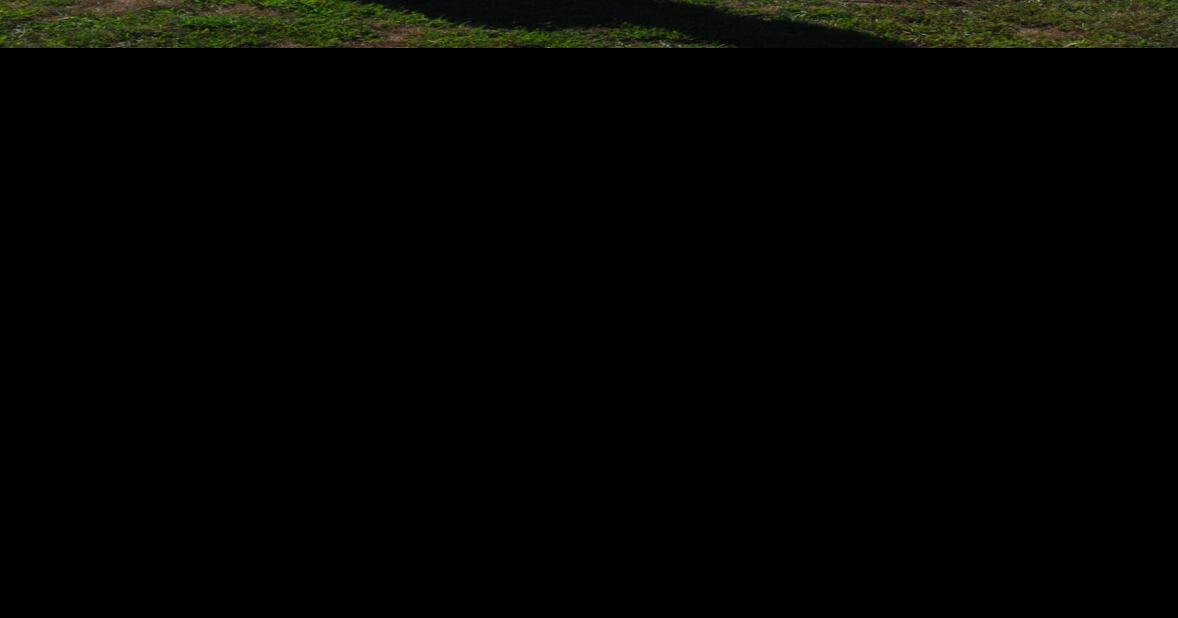 West Point Dollar General to be closed several weeks News