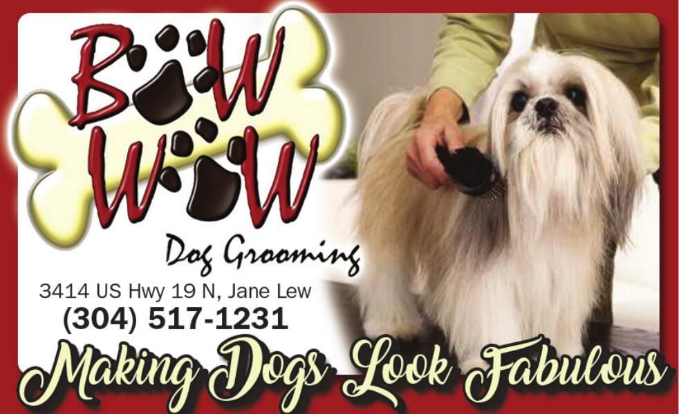 Bow wow dog sales grooming near me