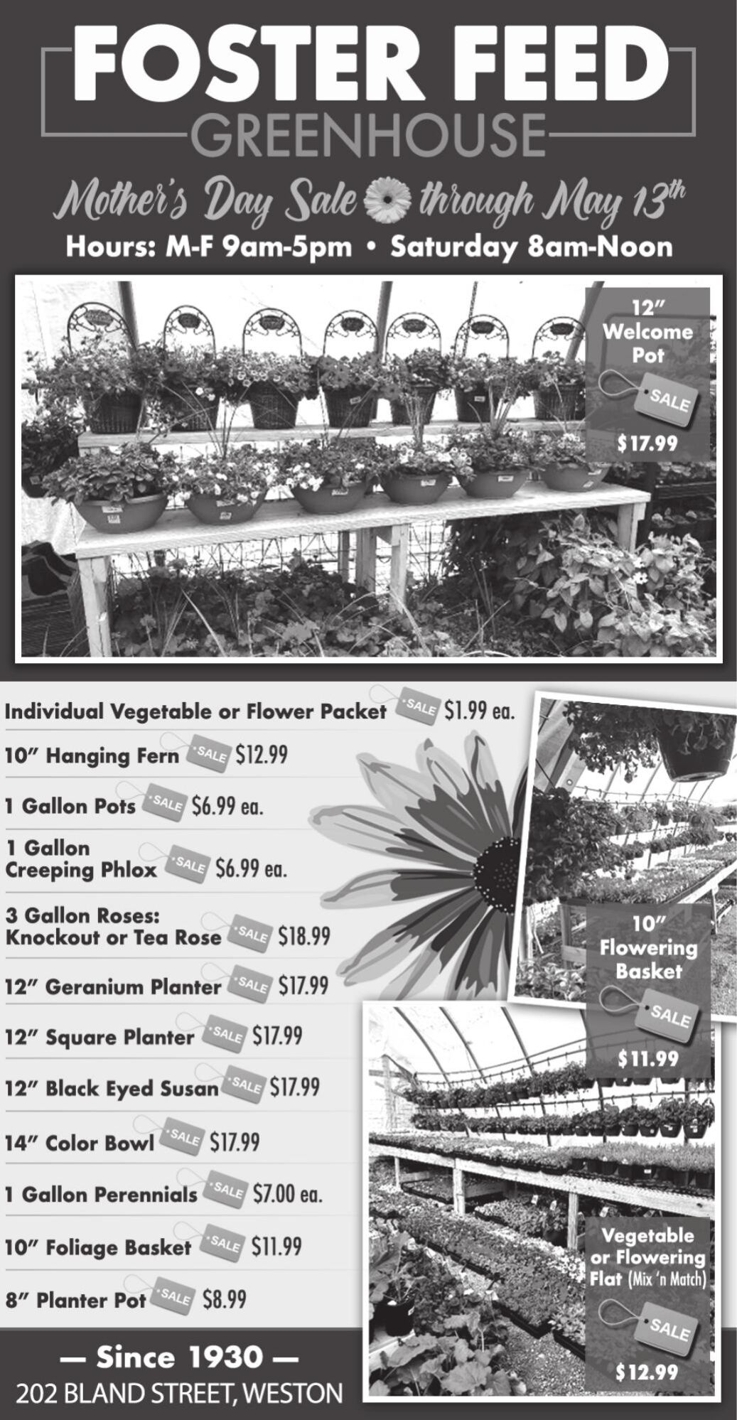 FOSTER FEED COMPANY (WD) Other