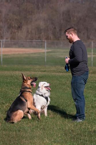 Pet services boomed following greater rate of ownership following COVID ...