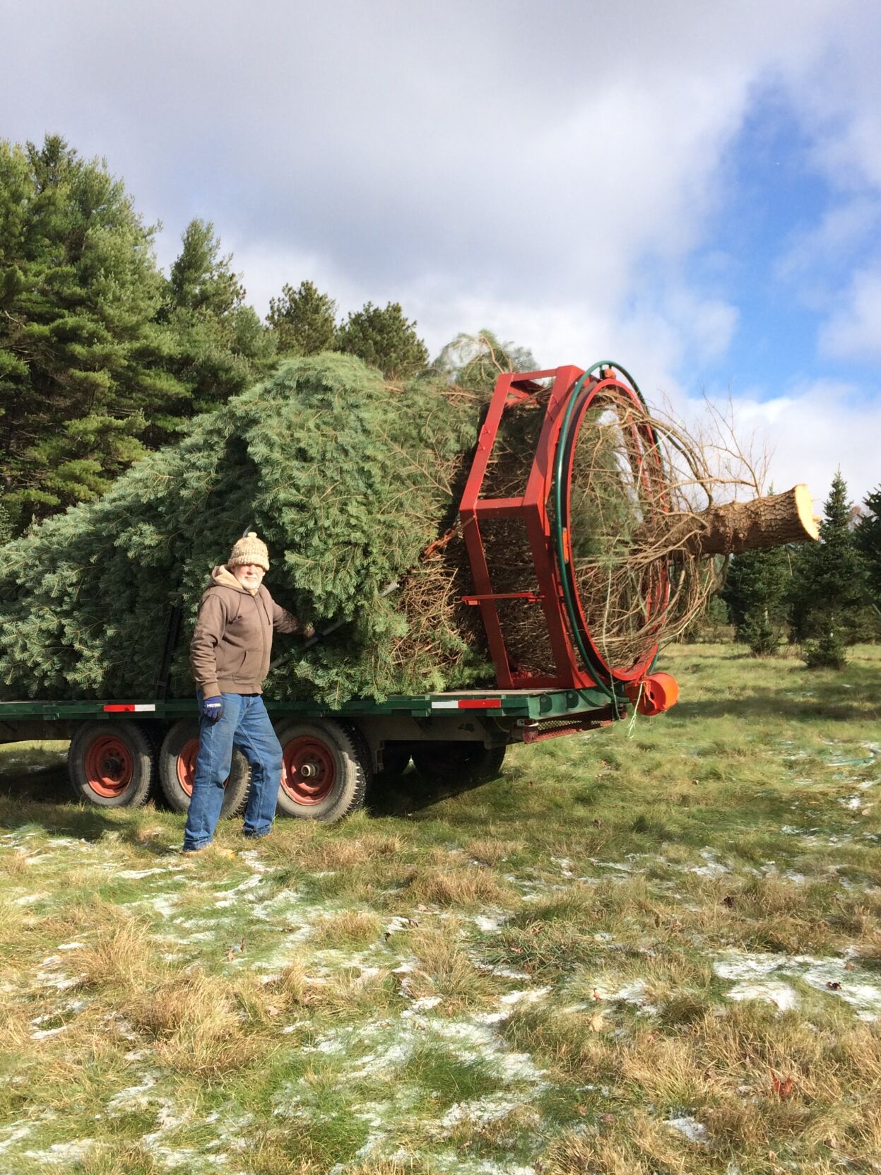 Pinetum Christmas Tree Farm Certified For Over 50 Years Garrett News Wvnews Com Pinetum Christmas Tree Farm Certified For Over 50 Years Garrett News Wvnews Com